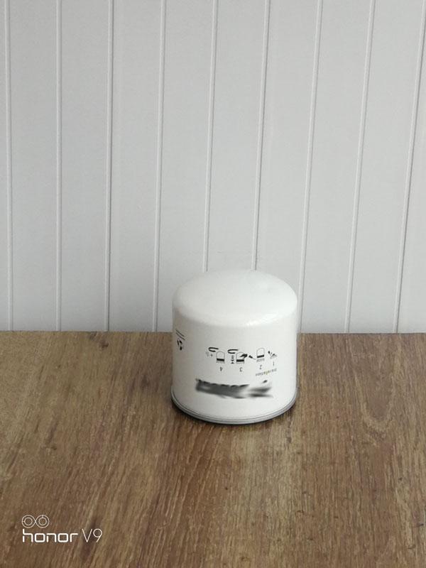 Bobocat 猫6675517  (3)